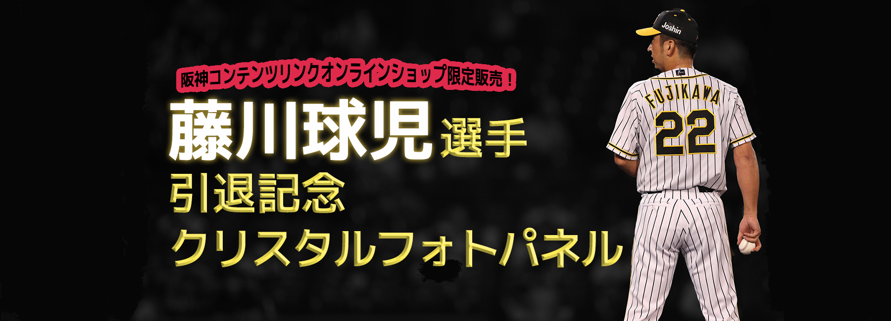 藤川球児選手引退記念クリスタルフォトパネル