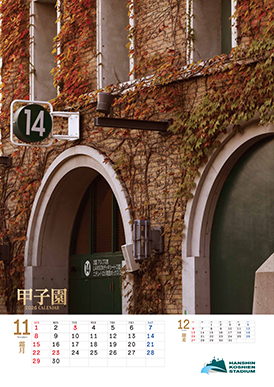 11月